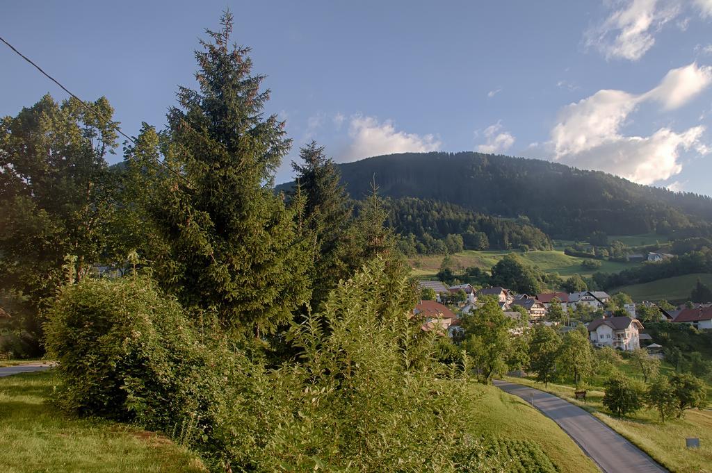 Gostilna Pension Blegos Poljane nad Škofjo Loko Exterior foto