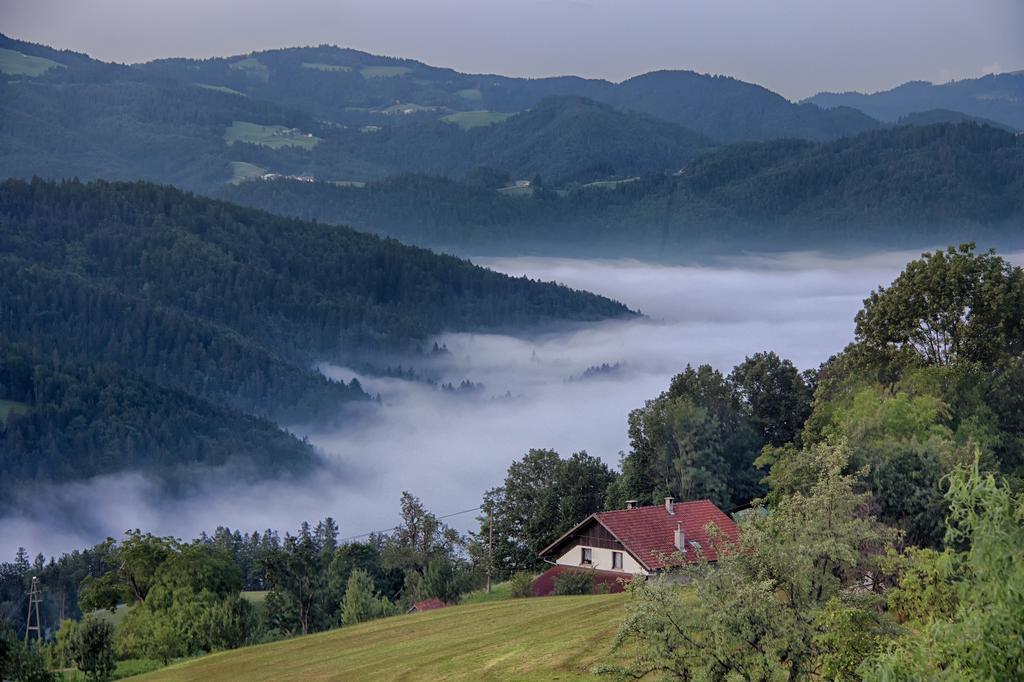Gostilna Pension Blegos Poljane nad Škofjo Loko Exterior foto