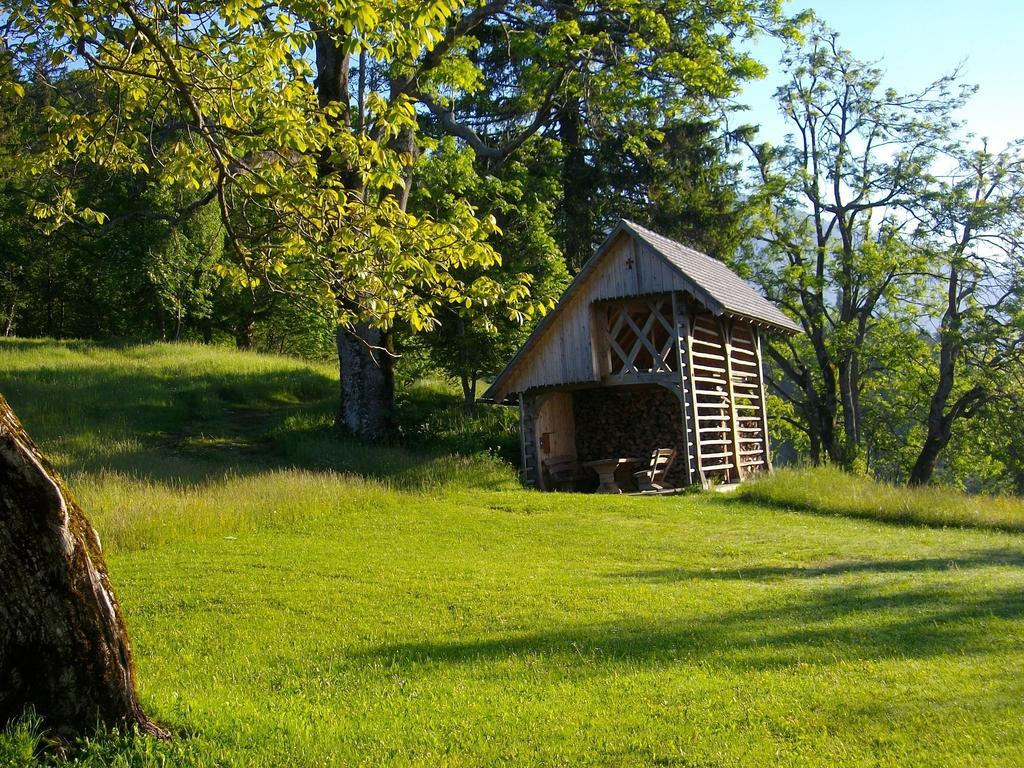 Gostilna Pension Blegos Poljane nad Škofjo Loko Exterior foto