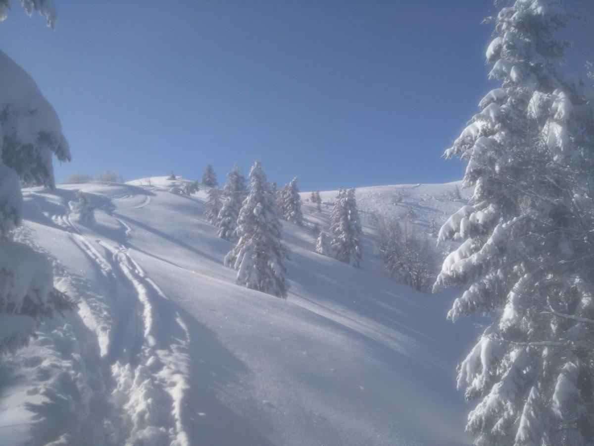 Gostilna Pension Blegos Poljane nad Škofjo Loko Exterior foto